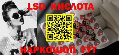 мдпв Камышлов