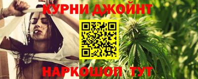 мдпв Камышлов