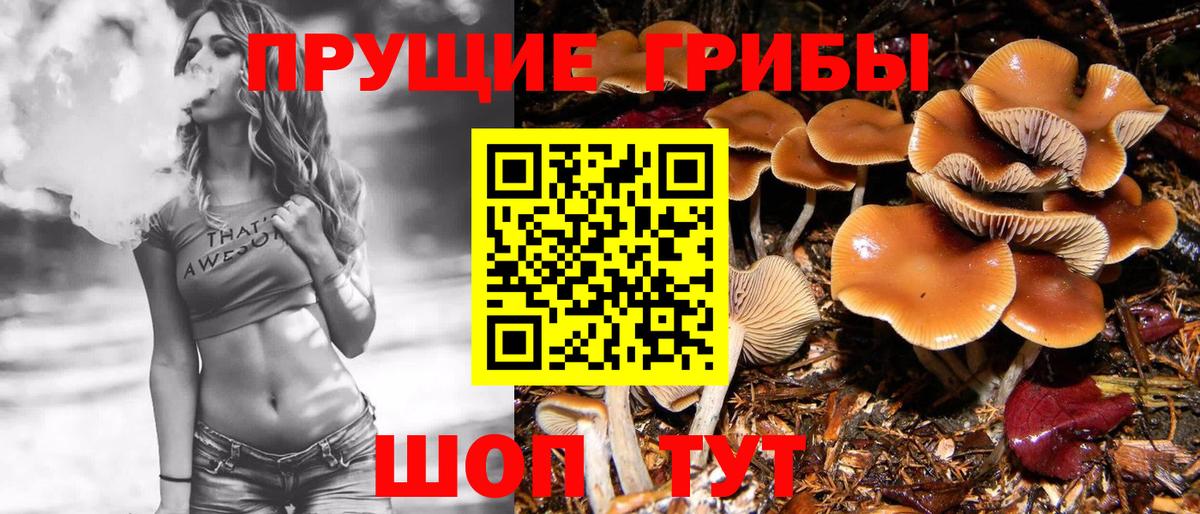Солнечногорск  Галлюциногенные грибы прущие грибы  Вход с VPN 